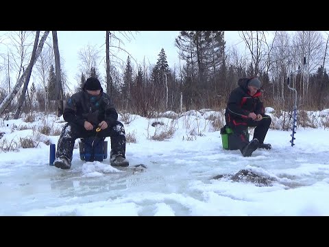 Видео: ЛУЧШИЙ НАСТРОЙ НА ХАРИУСА СО ЛЬДА!!! ЛОВЛЮ НА РЕЧКЕ ХАРЮЗОВКЕ!!!