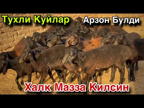 Видео: Нархлар Аянчли! Мана Енди Олинг Дустлар! 