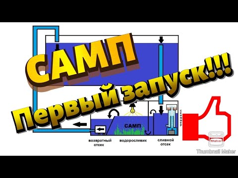Видео: Первый Запуск САМПА