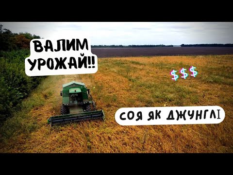 Видео: СОЯ ЯК ЛІС❗️ ВИРОСЛО ШОСЬ СТРАШНЕ 😳НЕ ЗНАЄМО ШО РОБИТЬ