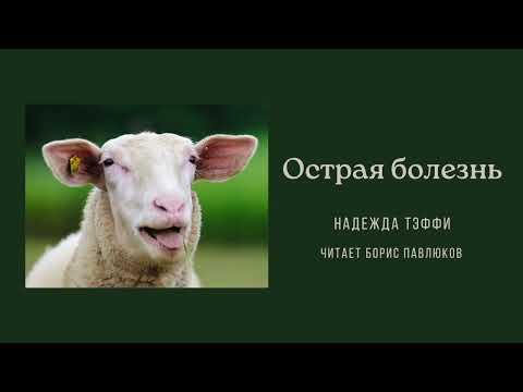 Видео: Надежда Тэффи "Острая болезнь"