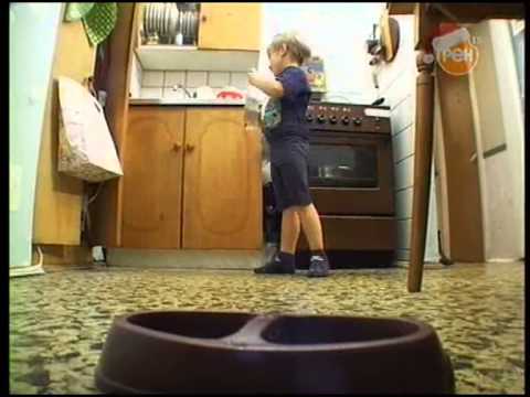 Видео: Семья Сысоевых