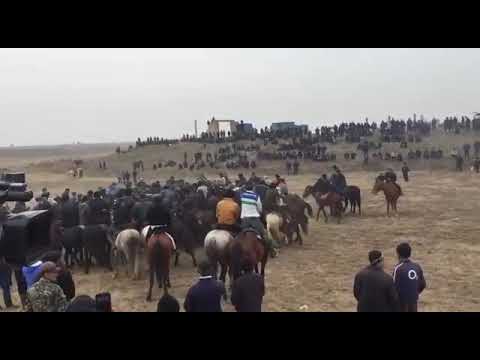 Видео: Арман палуан Дарен атымен Кокпар