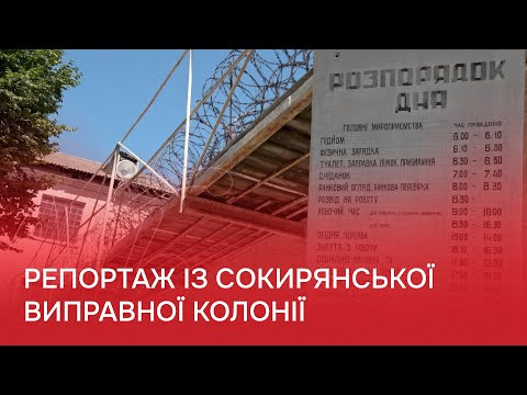 Видео: Як відбувають покарання у колонії засуджені на Буковині