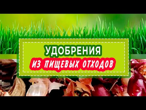 Видео: ОТЛИЧНОЕ УДОБРЕНИЕ из пищевых отходов. Как приготовить?