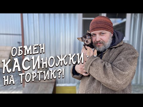 Видео: Спасение животных/ Наши гости не знали кого выбрать