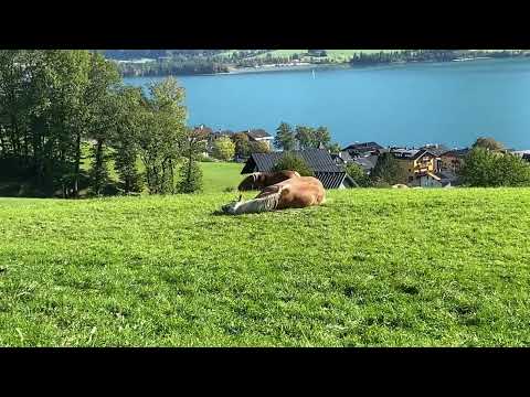 Видео: Austria, Wolfgangsee, St Wolfgang, Прогулка к поломнической Auerhias Kapelle, 02 10 2021