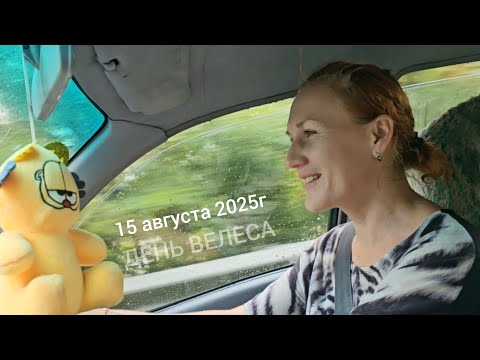 Видео: 15 августа ГРАД РАЗБИЛ МАШИНУ | Сибирь Хакасия | ДЕРЕВЕНСКИЙ АСМР 