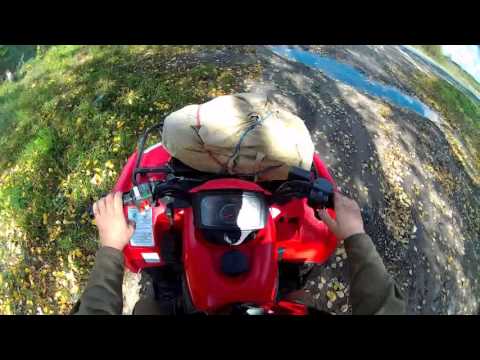 Видео: На квадроцикле за ловушками с пчелами