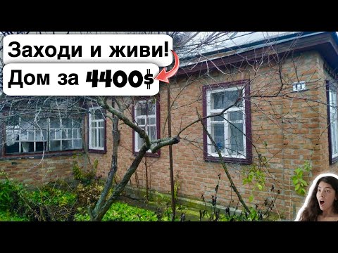 Видео: 🇺🇦 Заходи и живи! Дом в селе за 4400$ Продажа недвижимости за копейки Всё есть! Уютное, тихое село