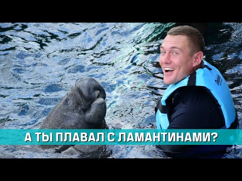 Видео: Что нас ждало в парке развлечений Chankanaab Beach Park? Остров Косумель, Мексика