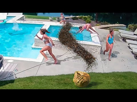 Видео: САМЫЕ ЛУЧШИЕ ФЕЙЛЫ ЗА ЛЕТО, СНЯТЫЕ НА КАМЕРУ