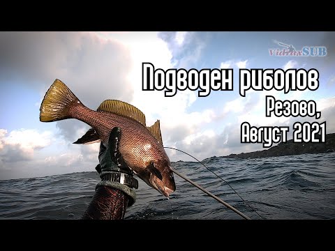 Видео: Подводен риболов на врани в края на Август 2021