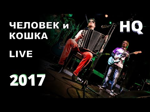 Видео: Человек и кошка - Фёдор Чистяков (Ноль) - Live (2017)