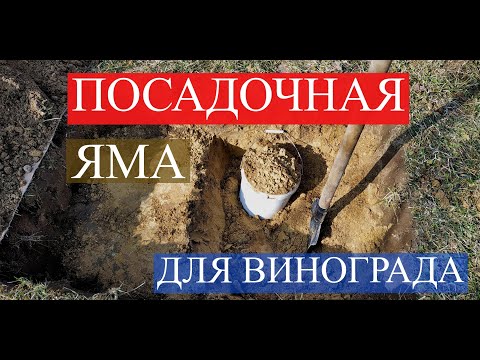 Видео: Посадочная яма для винограда.