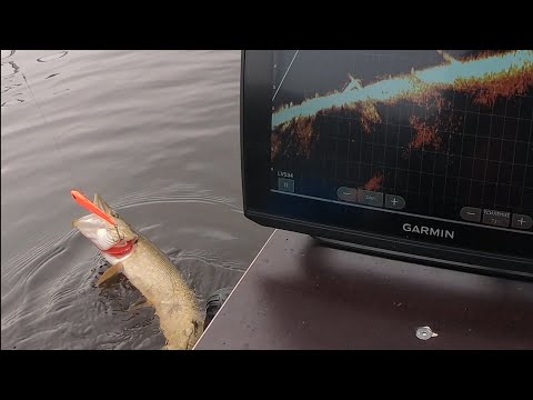 Видео: Рыбалка на вибы в отвес с  Panoptix