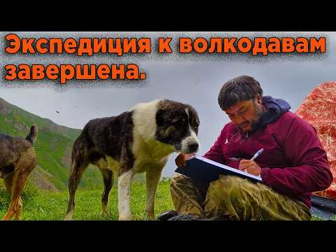 Видео: Опасный спуск в горах, на ослах. Часть 2.