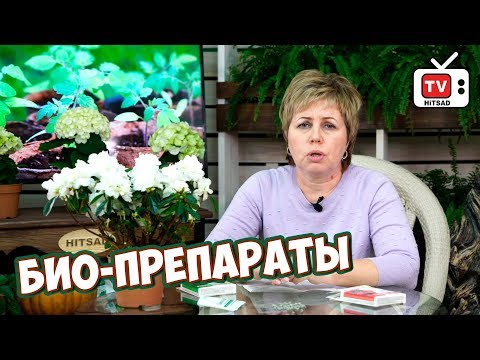 Видео: Био-препараты 🌱 ГЛИОКЛАДИН, ГАМАИР, АЛИРИН 🌱 Видео инструкция по применению