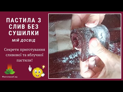 Видео: Куди дівати урожай слив та яблук? Пастила із слив! Покроково!  Пастила з яблук не вдалася. Чому?