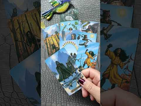 Видео: Что будет предложено и кем?