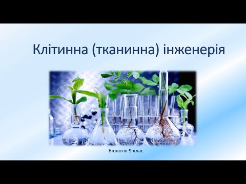 Видео: Біологія 9 клас. Клітинна інженерія