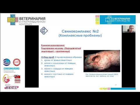 Видео: Красников Н.Ю. Метагеномный подход для идентификации патогенов свиней.