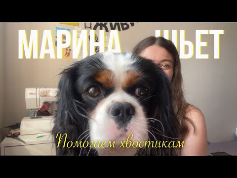 Видео: Шьем лежанки-подушки для хвостиков| приют Краснодог | Марина шьет 