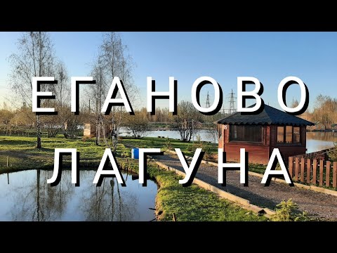 Видео: супер клёв / Еганово / Лагуна / как поймать карпа / белый амур/ карпфишинг 2021