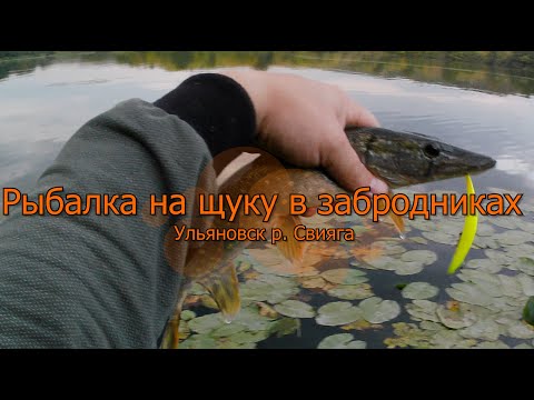 Видео: Рыбалка на щуку в забродниках Ульяновск, р  Свияга