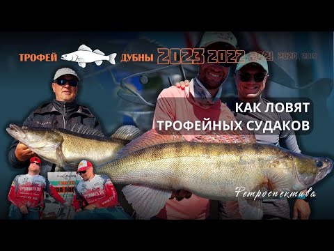 Видео: КАК ЛОВЯТ ТРОФЕЙНЫХ СУДАКОВ. Рыболовный турнир ТРОФЕЙ ДУБНЫ по ловле судака. Ретроспектива