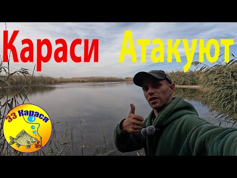 Видео: КАРАСИ АТАКУЮТ ТОП РЫБАЛКА НА КАРАСЯ В САРАТОВСКОЙ ОБЛАСТИ 2024, ТОПОВАЯ РЫБАЛКА НА ПОПЛАВОК 2024