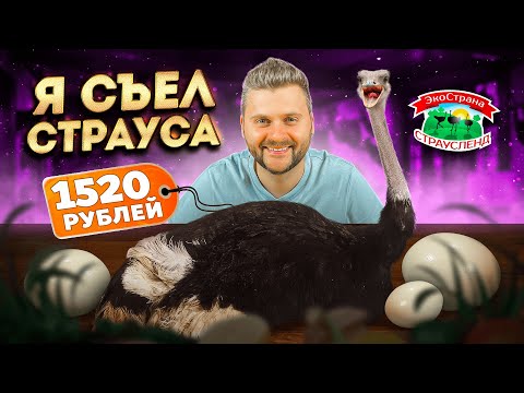 Видео: ПЕРВЫЙ раз пробую стейк из СТРАУСА / Пельмени из НУТРИИ / Обзор еды на страусиной ферме Страусленд