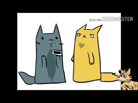 Видео: Приколы коты воители