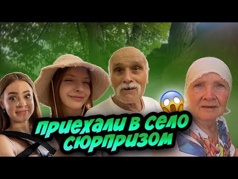 Видео: ПРИЕХАЛИ В СЕЛО! БАБУШКА И ДЕДУШКА МЕНЯ НЕ УЗНАЛИ...