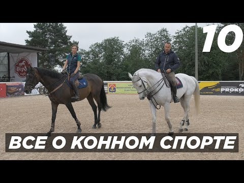 Видео: Все о конном спорте