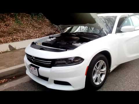 Видео: Тест-драйв Dodge Charger 2016 из США