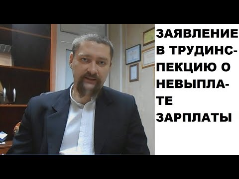 Видео: Как написать заявление (жалобу) в трудовую инспекцию о невыплате зарплаты