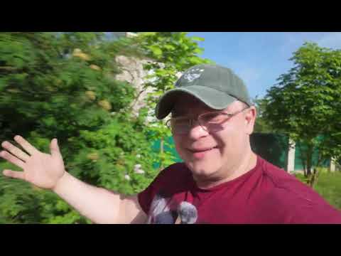 Видео: Влог Доктора Юршина | Мысли - События - Тренировки