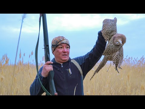 Видео: Қырғауыл ату. Жездем жаңа мылтықпен аңға шықты!!!