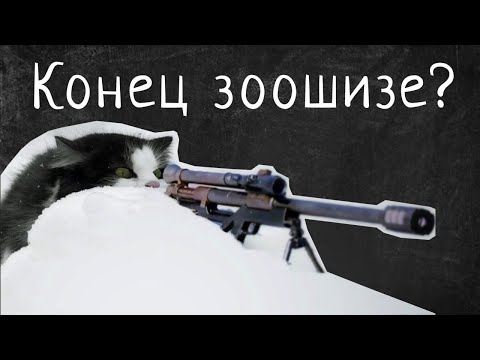 Видео: СТОП ЗООШИЗА! Любовь к животным или безумие?