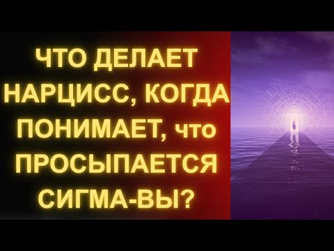 Видео: Что делает нарцисс, когда понимает, что просыпается сигма вы