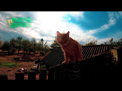 Видео: Первая продажа на ОЗОНе и сразу казус 🥺