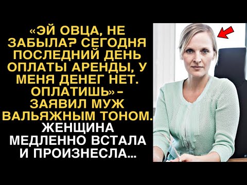 Видео: «ЭЙ ОВЦА, НЕ ЗАБЫЛА? СЕГОДНЯ ПОСЛЕДНИЙ ДЕНЬ ОПЛАТЫ АРЕНДЫ, У МЕНЯ ДЕНЕГ НЕТ, ОПЛАТИШЬ»