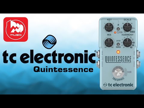 Видео: Педаль гармонизации TC Electronic Quintessence