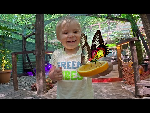 Видео: Маленький исследователь находит нового друга