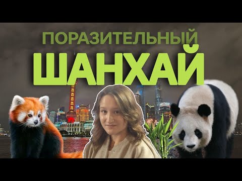 Видео: Удивительный Шанхай! / панды, прогулка по Шанхаю, лучший город на земле?