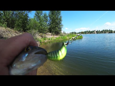 Видео: Рыбалка на окуня в июне 2024. Новинки от фирмы Зомбер.