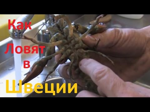 Видео: Планета рыбака - Рыбалка в Швеции.