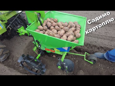 Видео: Посадка картофеля мотоблоком и сажалкой Kentavr