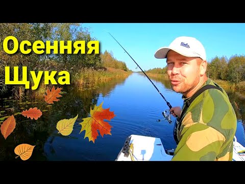 Видео: ОСЕННЯЯ РЫБАЛКА/ЩУКА НА ДОРОЖКУ-ТРОЛЛИНГ 27.09.2020/КРАСИВАЯ РЕКА/ГОТОВИМ БЫСТРЫЙ СУП.